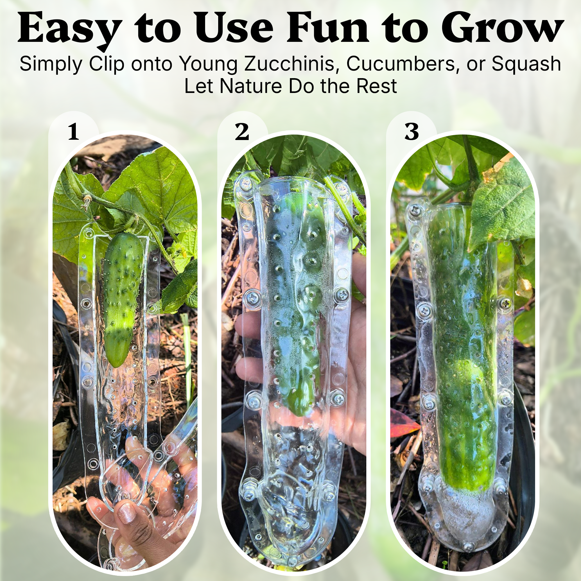 Zucchini Weenie – Vegetable Mold