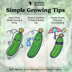 Zucchini Weenie – Vegetable Mold